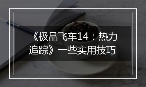 《极品飞车14：热力追踪》一些实用技巧