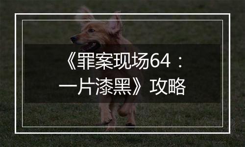 《罪案现场64：一片漆黑》攻略