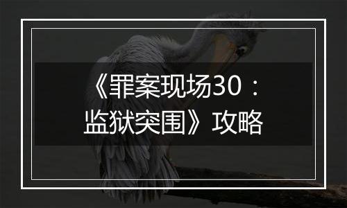《罪案现场30：监狱突围》攻略