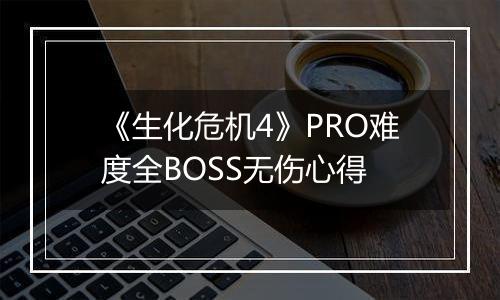 《生化危机4》PRO难度全BOSS无伤心得