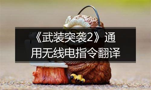 《武装突袭2》通用无线电指令翻译