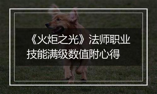 《火炬之光》法师职业技能满级数值附心得