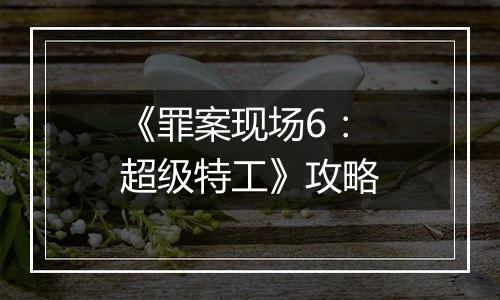 《罪案现场6：超级特工》攻略