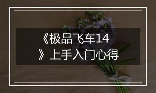 《极品飞车14》上手入门心得