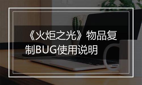 《火炬之光》物品复制BUG使用说明