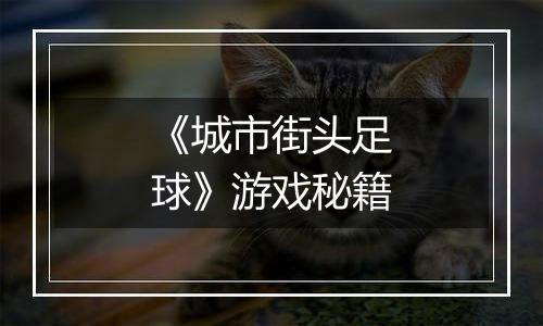 《城市街头足球》游戏秘籍