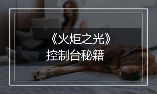 《火炬之光》控制台秘籍