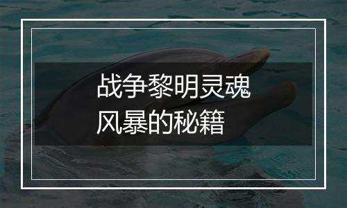 战争黎明灵魂风暴的秘籍