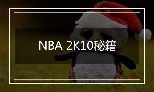NBA 2K10秘籍