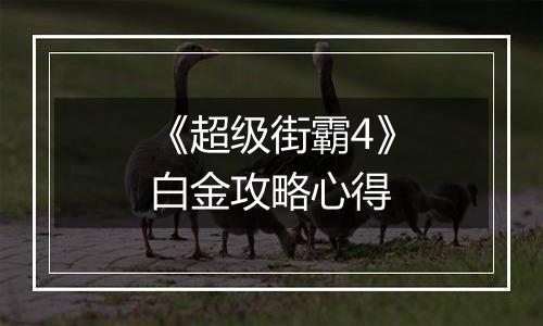 《超级街霸4》白金攻略心得