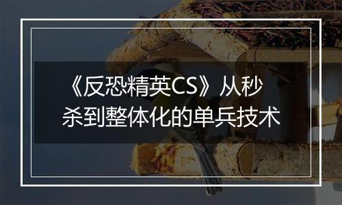 《反恐精英CS》从秒杀到整体化的单兵技术