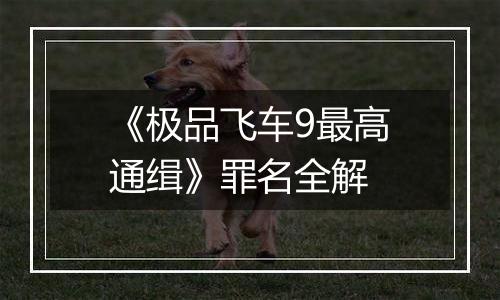 《极品飞车9最高通缉》罪名全解