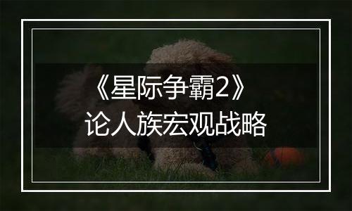 《星际争霸2》论人族宏观战略