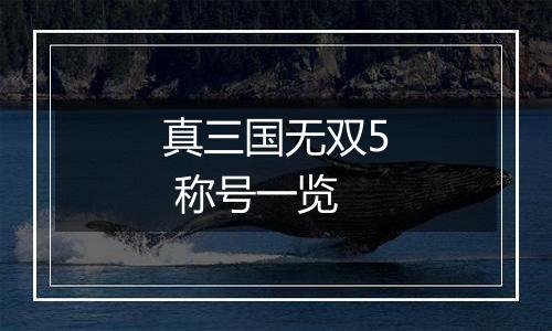 真三国无双5 称号一览