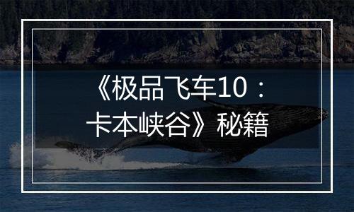 《极品飞车10：卡本峡谷》秘籍