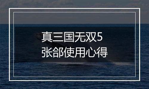 真三国无双5 张郃使用心得