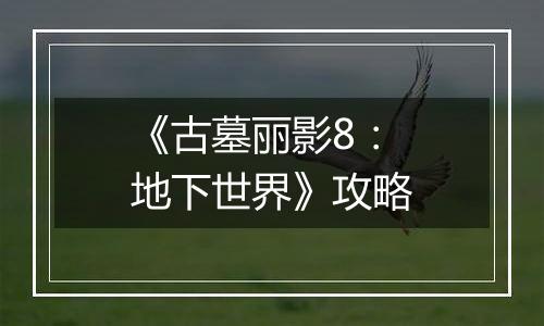 《古墓丽影8：地下世界》攻略