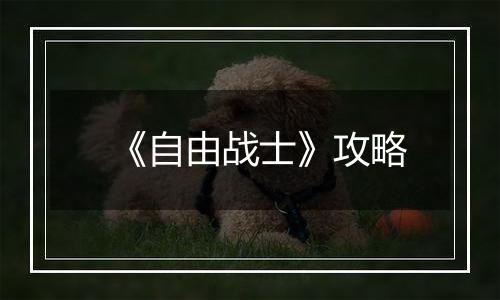 《自由战士》攻略
