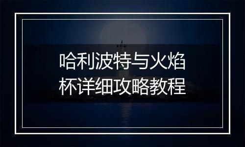 哈利波特与火焰杯详细攻略教程
