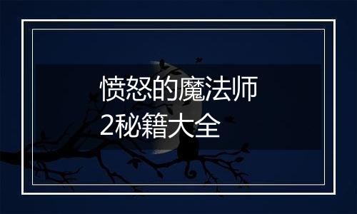 愤怒的魔法师2秘籍大全