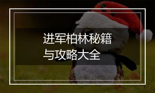 进军柏林秘籍与攻略大全