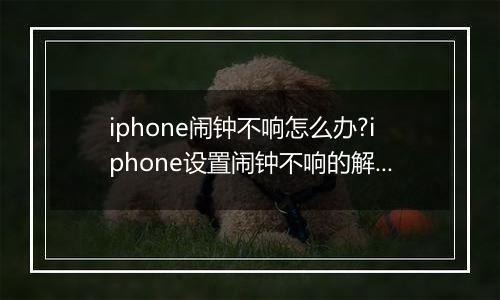 iphone闹钟不响怎么办?iphone设置闹钟不响的解决方法