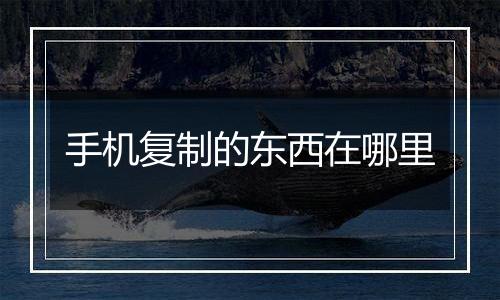 手机复制的东西在哪里