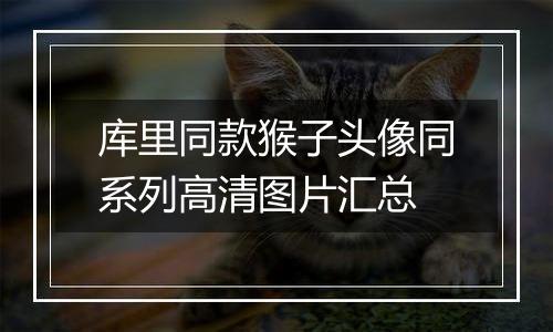库里同款猴子头像同系列高清图片汇总