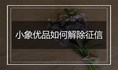 小象优品如何解除征信
