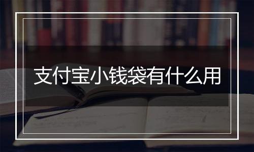 支付宝小钱袋有什么用