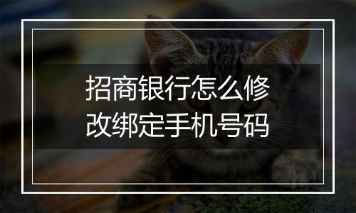 招商银行怎么修改绑定手机号码