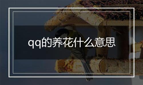 qq的养花什么意思