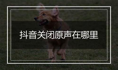 抖音关闭原声在哪里