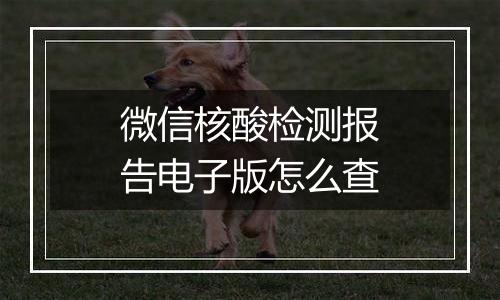 微信核酸检测报告电子版怎么查