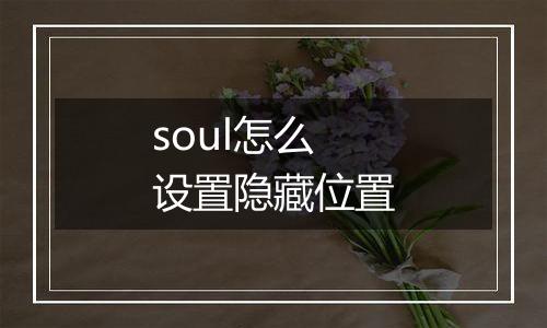 soul怎么设置隐藏位置