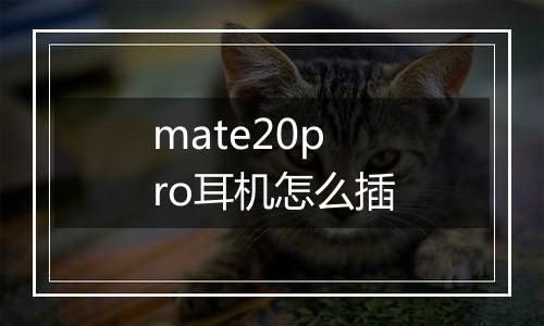 mate20pro耳机怎么插