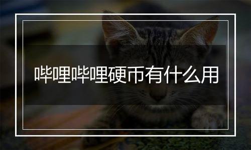 哔哩哔哩硬币有什么用