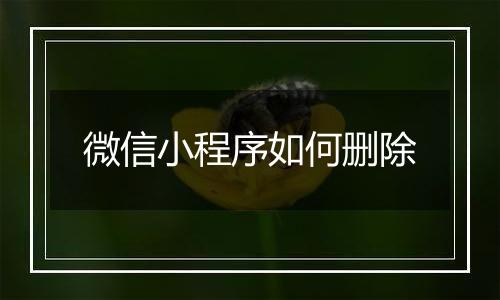 微信小程序如何删除