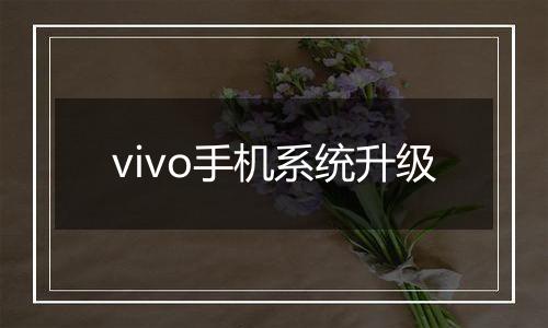 vivo手机系统升级