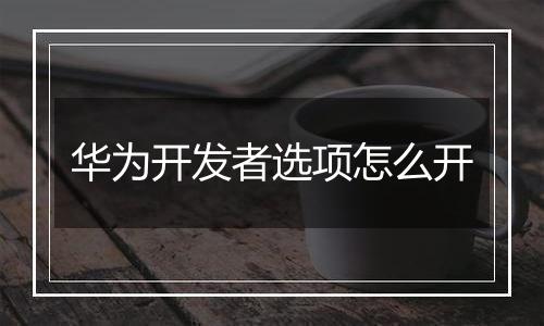 华为开发者选项怎么开