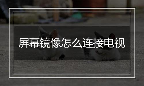 屏幕镜像怎么连接电视