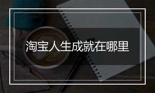 淘宝人生成就在哪里