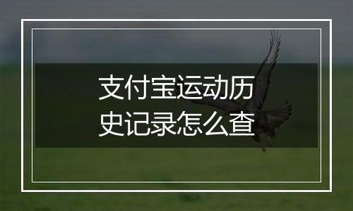 支付宝运动历史记录怎么查