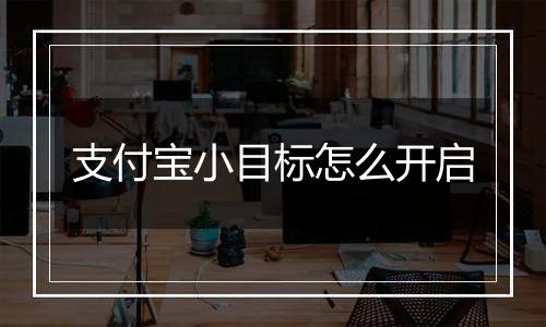 支付宝小目标怎么开启