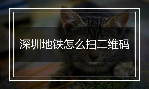 深圳地铁怎么扫二维码