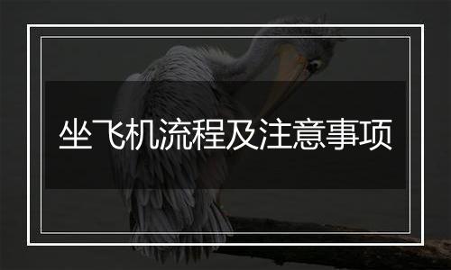 坐飞机流程及注意事项