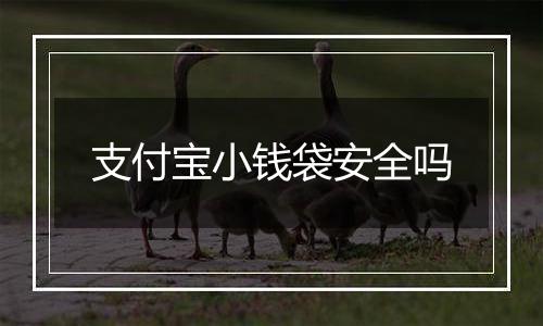 支付宝小钱袋安全吗