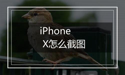 iPhone  X怎么截图