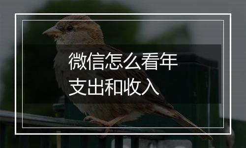 微信怎么看年支出和收入