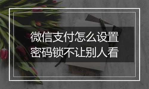 微信支付怎么设置密码锁不让别人看
